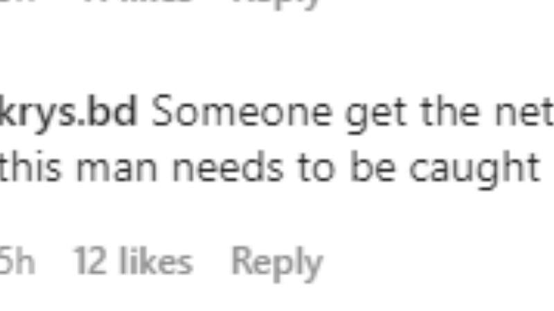 Captură de ecran din secțiunea de comentarii Instagram (defnoodles)