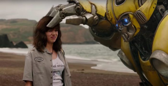 マルハナバチの特徴