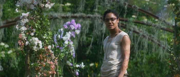 yok olma tessa thompson
