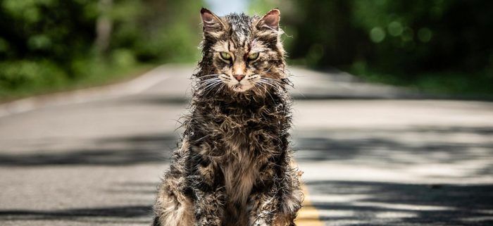 Pet Sematary Review: Eine der besten Adaptionen von Stephen King - / Film