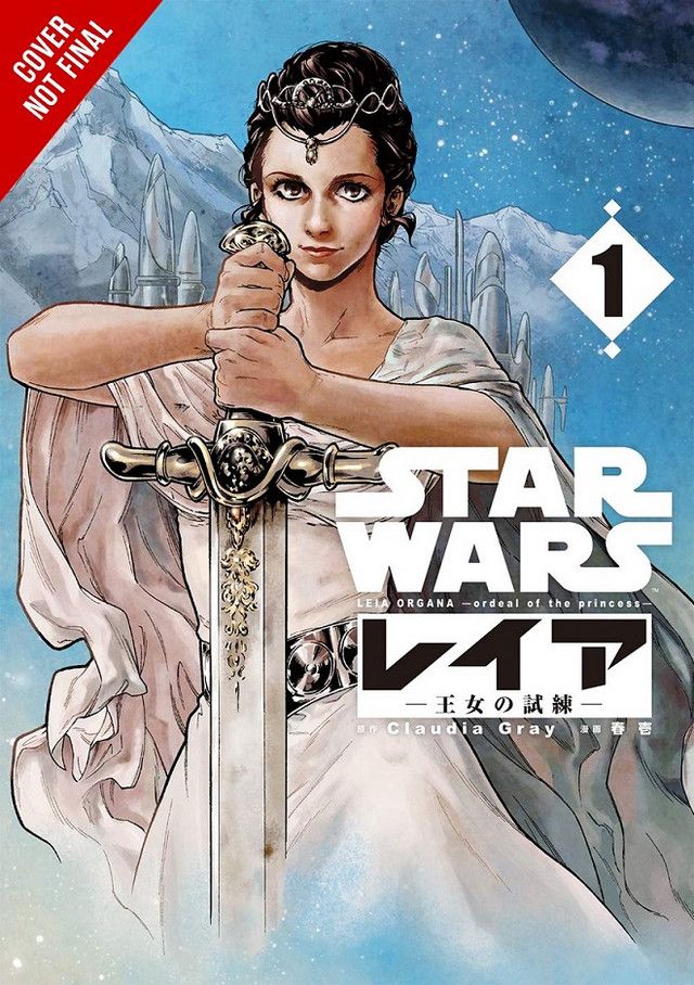 Lecture SW