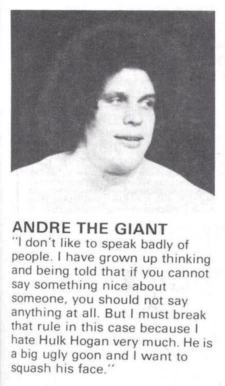 andre der riesige hulk hogan