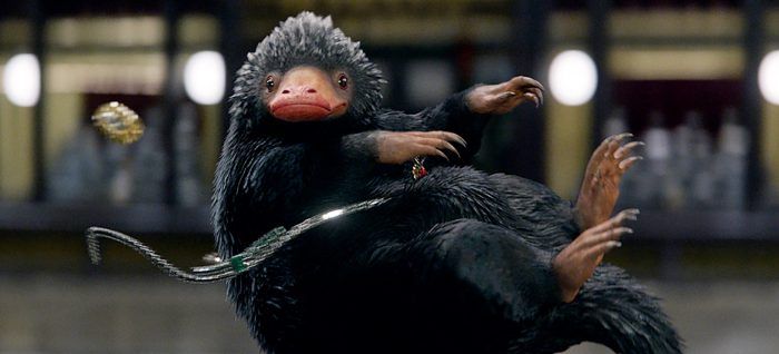 Fantastiska odjur och var man kan hitta dem - Niffler
