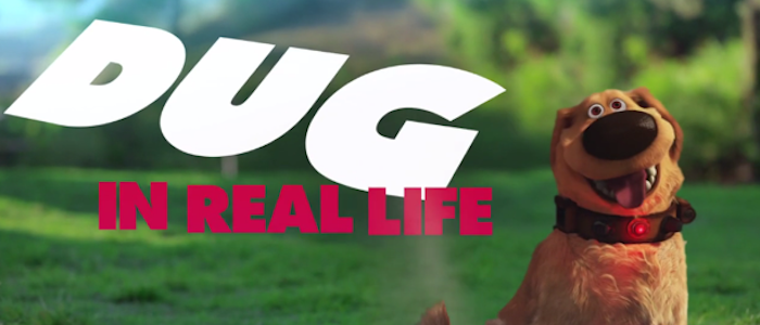 Dugas realiame gyvenime