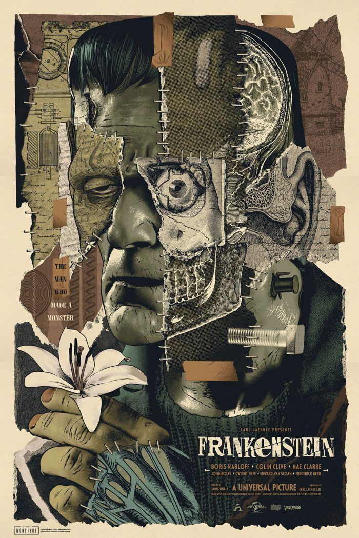 Frankenstein plakat reden