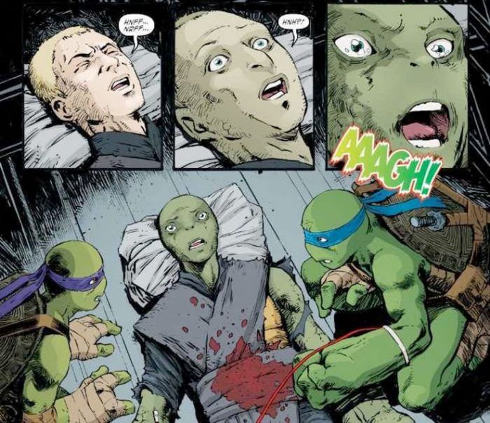 Paauglių mutantų „Ninja Turtles“ nauja vėžlių patelė