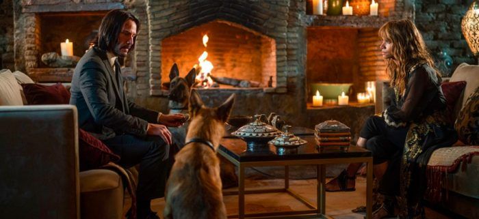 John Wick 3 skyriaus šunys