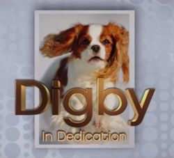 digby the dog intervju